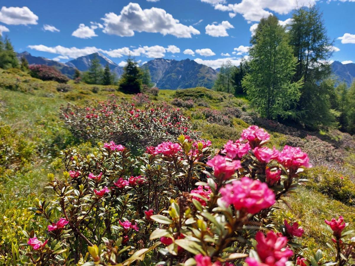 Haus Edelweiss Spiss Bei Samnaun Eksteriør billede